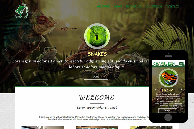 chameleon-free-bootstrap-themes-and-html5-templates